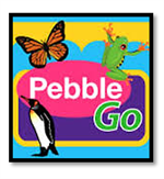 Pebble Go 